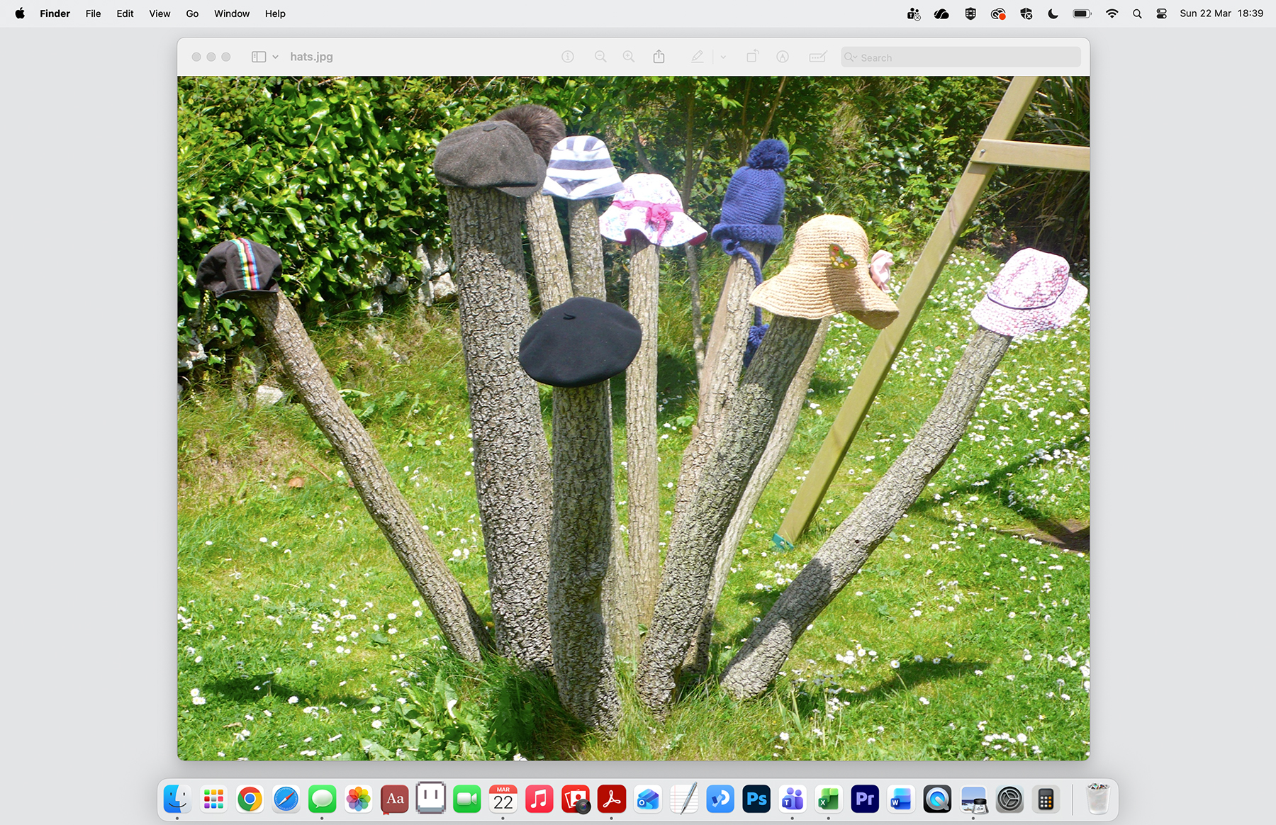 Hats